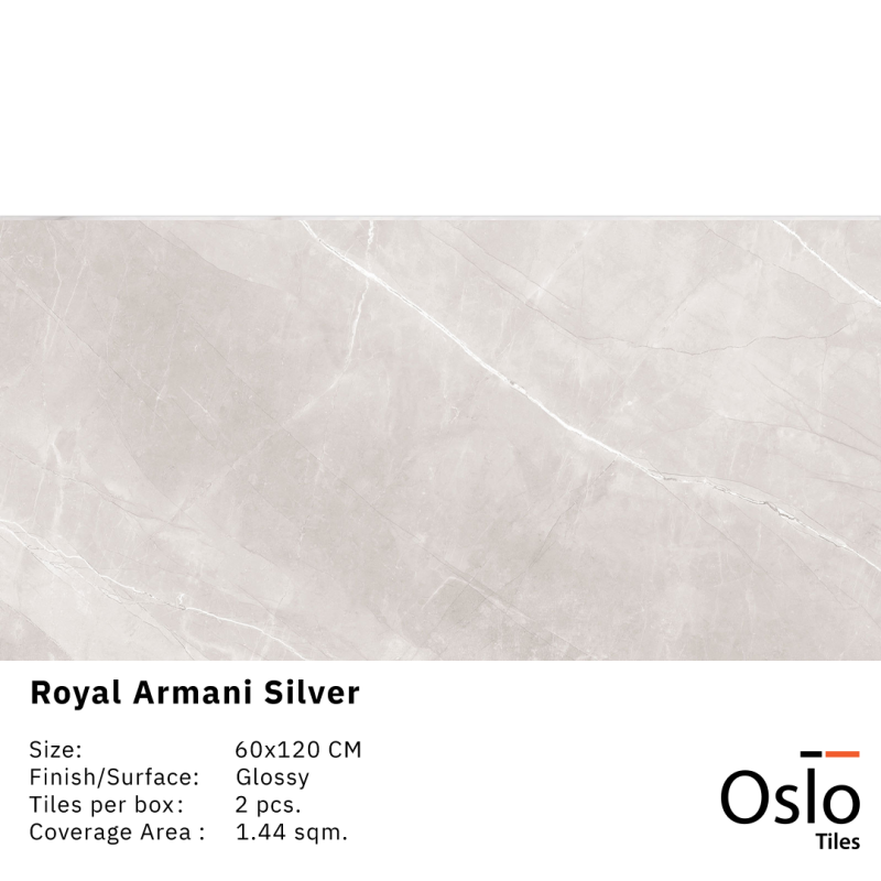Royal Armani Silver Porcelain Tiles Light Grey Color Size 60x120CM Glossy Finish